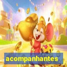 acompanhantes gordinhas santos